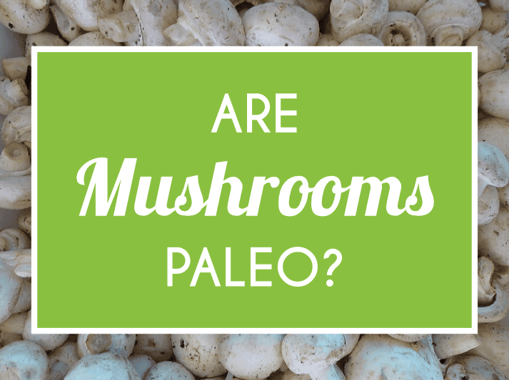 蘑菇是古代的吗
