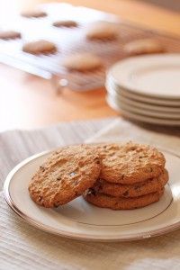 旧石器时代早餐创意-旧石器时代巧克力片饼干