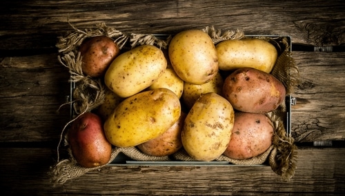 土豆是古代的吗
